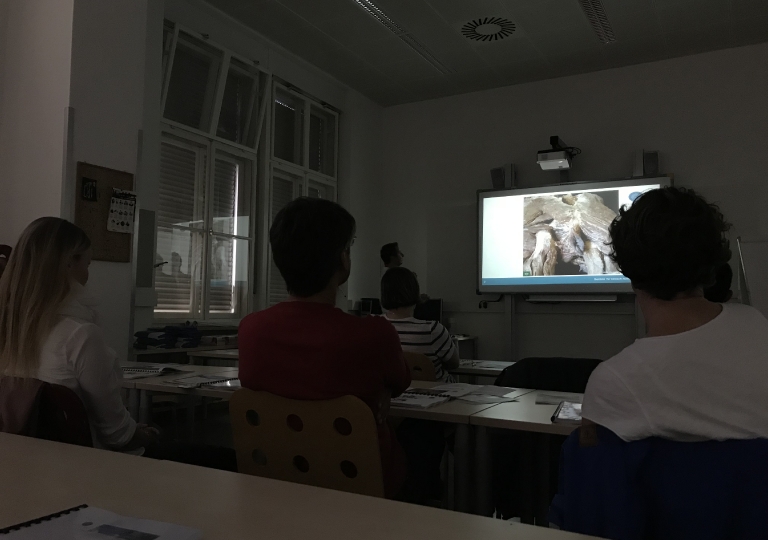 ACP Anatomie OP-Techniken Kurs Innsbruck 2018